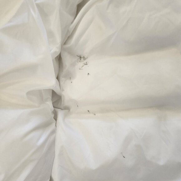 Elisabetta Franchi women's white jacket in size medium - Picture 16 of 16